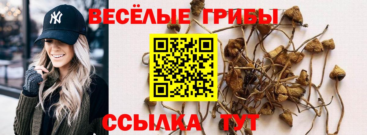 Галлюциногенные грибы Magic Shrooms Сарапул
