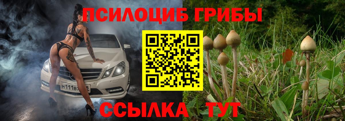 Галлюциногенные грибы Psilocybine cubensis  Вход с VPN  Сарапул 